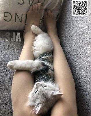 免费vip电视剧网站大全