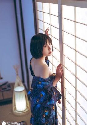 黑白道电视剧免费观看
