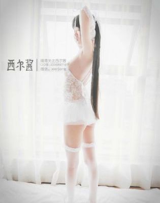 《藏海花》免费观看